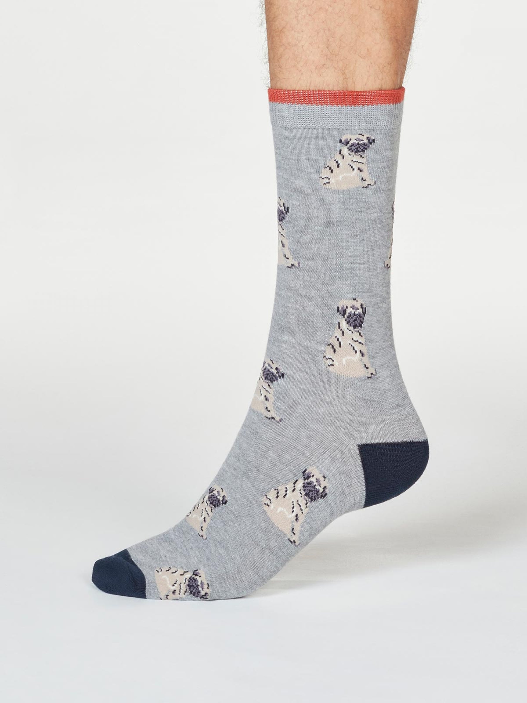 Wiley Pug Socks In A Bag - Multi