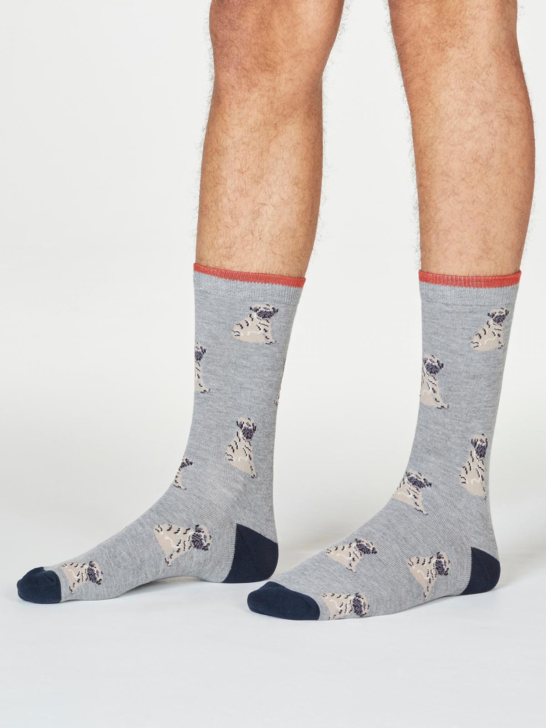 Wiley Pug Socks In A Bag - Multi