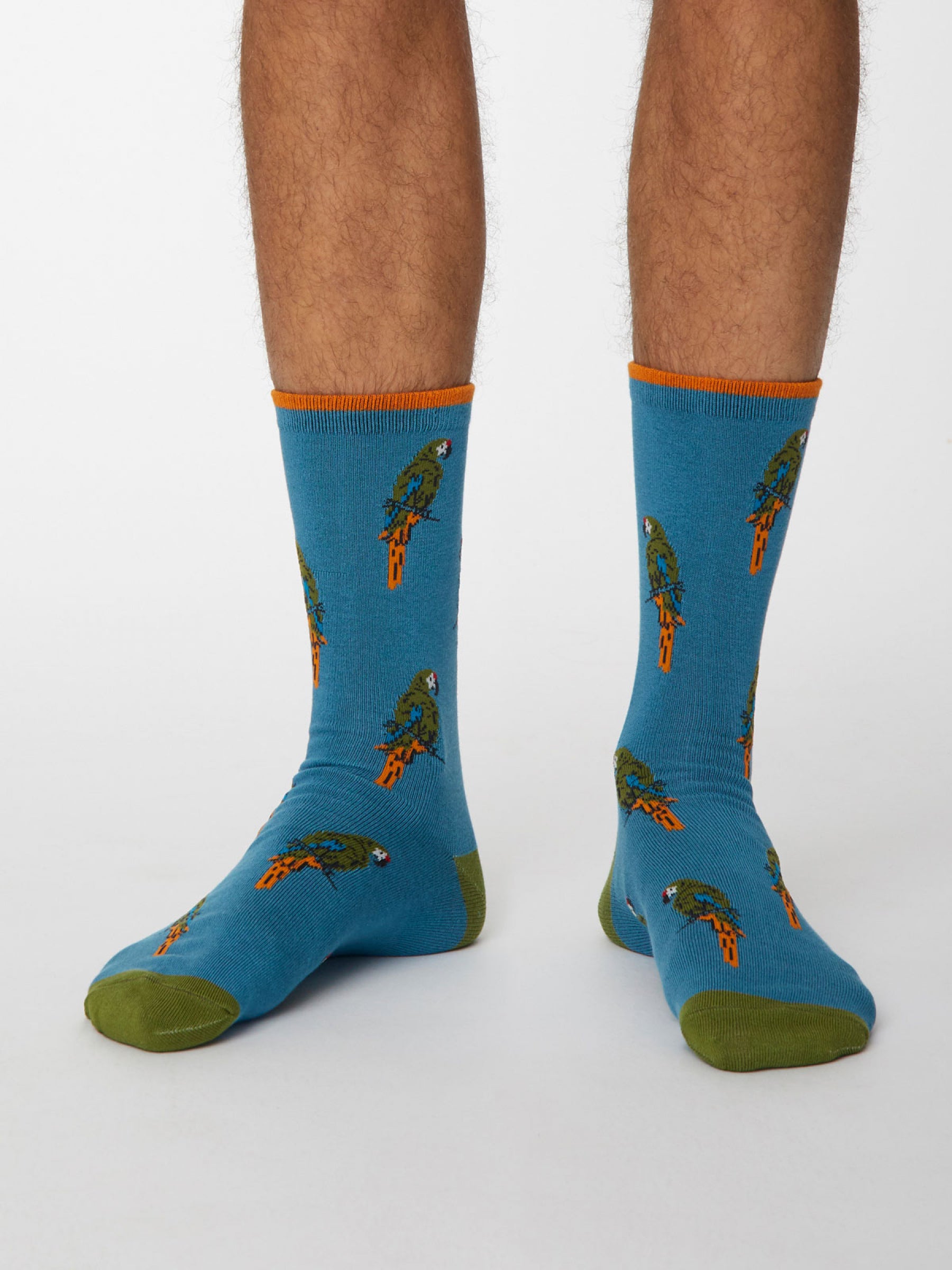 Pappagallo Socks - Dusty Blue