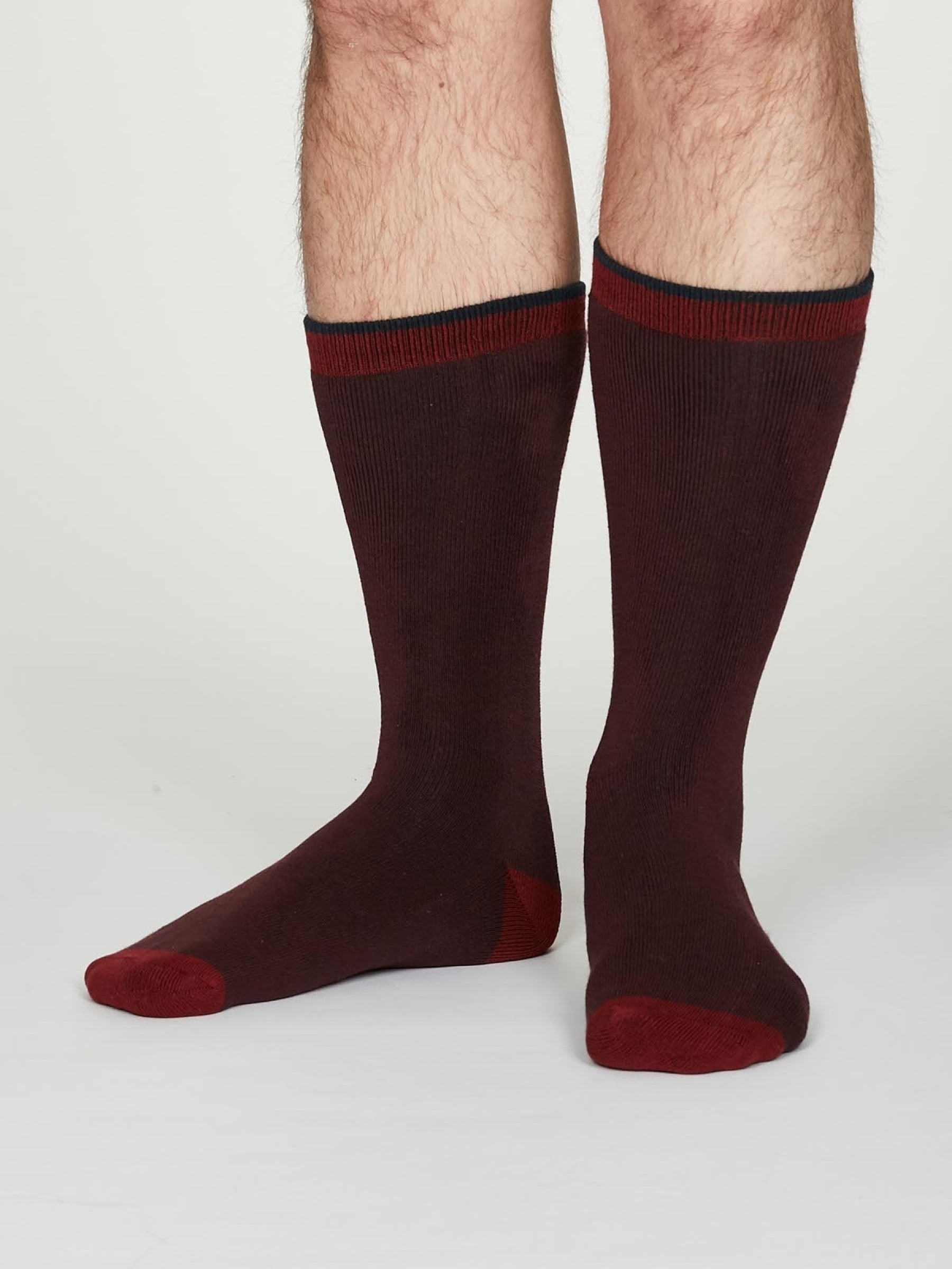 Walker Socks - Burgundy