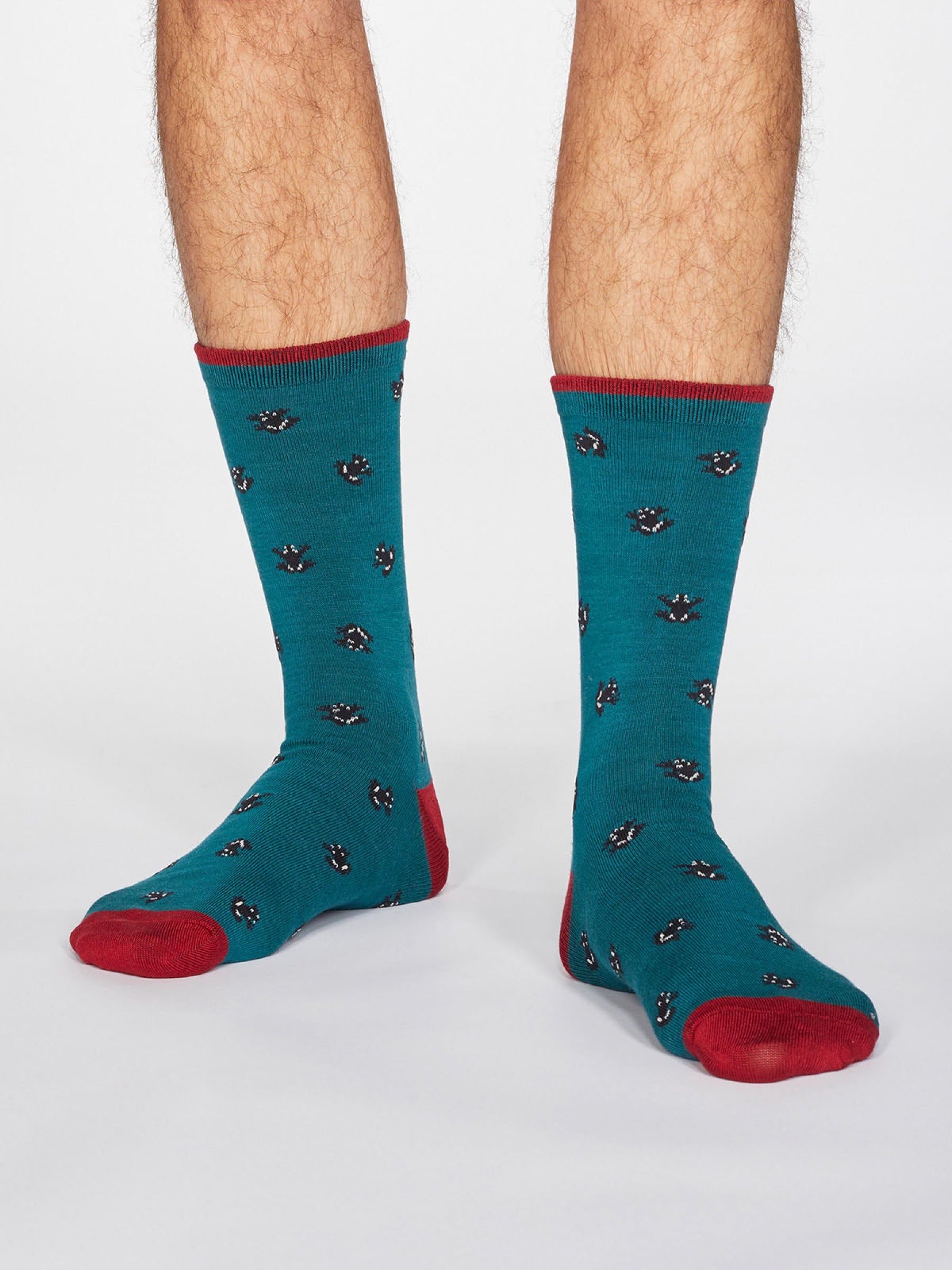 Wesley Frog Socks - Teal Green