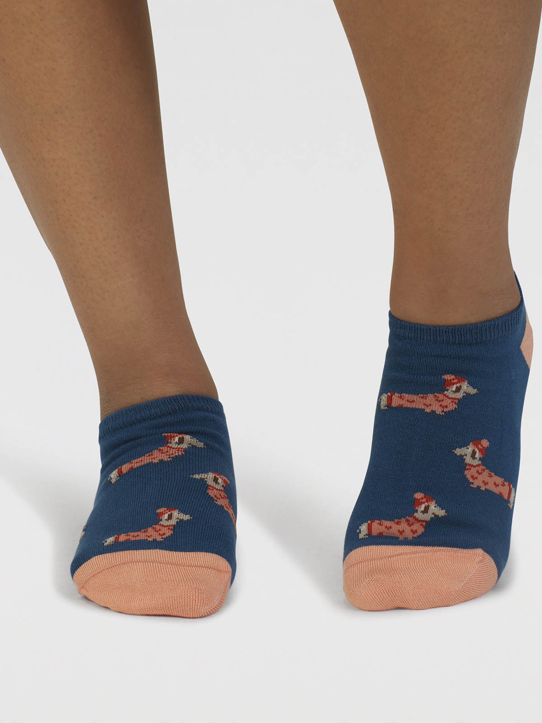 Freda Dachshund Organic Cotton Trainer Socks - Lake Blue